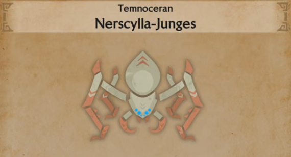 Nerscylla-Junges