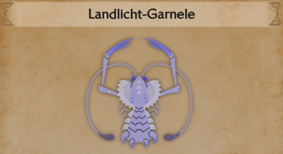 Landlicht-Garnele