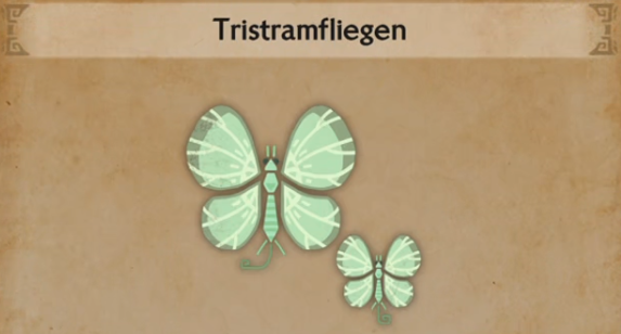 Tristramfliegen