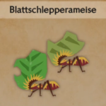 Blattschlepperameise