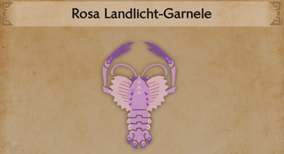 Rose Landlicht-Garnele